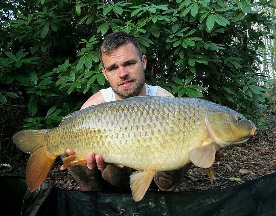 Common carp 05/18