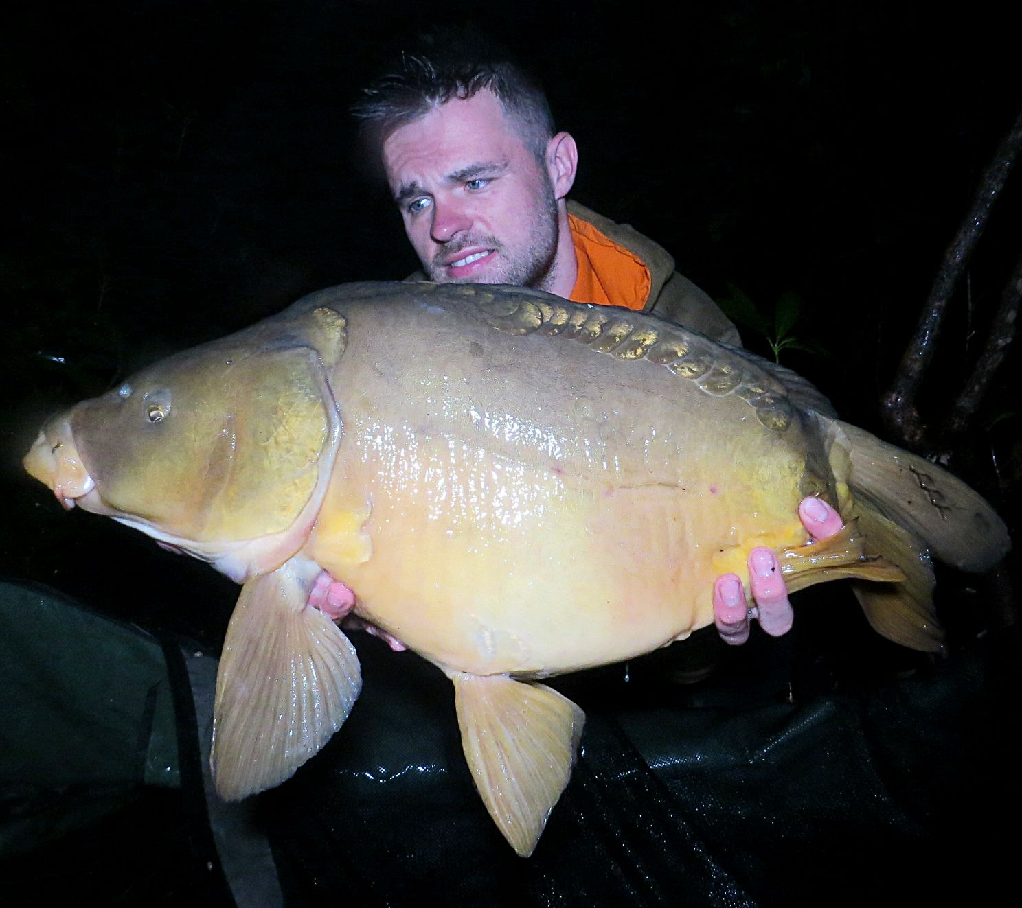 Mirror Carp caught 05/18