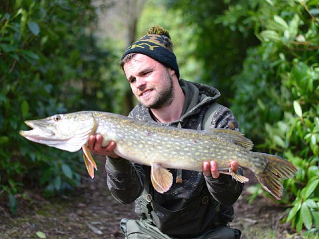 11lb 7oz pike caught 8th March 2019