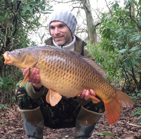 22lb 8oz Common carp caught 140319