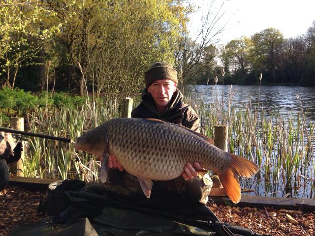 30lb 8oz Silver Common